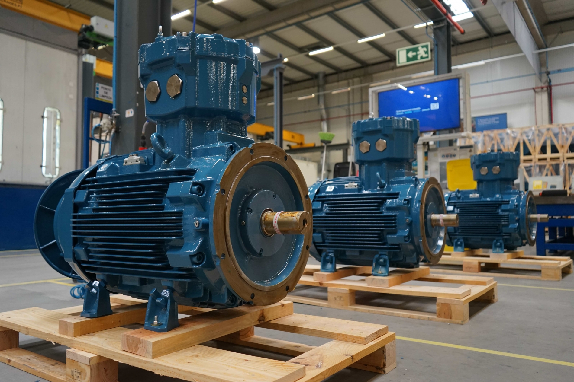 Blue electric motors are staged in a modern factory environment for manufacturing and industrial automation applications.