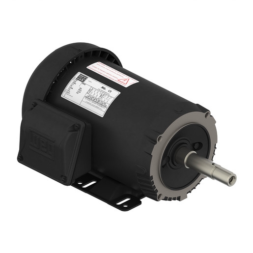ROLLED STEEL NEMA Premium Efficiency 5 HP 6P 213/5JM 3Ph 230/460//190-220/380-415 V 60 Hz IC411 - TEFC - Foot-mounted
