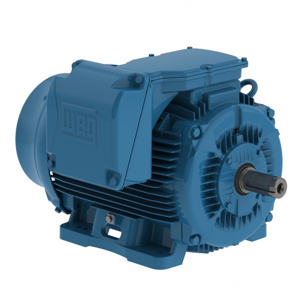 ELECTRIC MOTOR THREE PHASE 250 HP 06 586/7TZ 460 PWS 60Hz B3R(D) IP55 W22 NEMA PREMIUM EFFICIENCY WFF2
