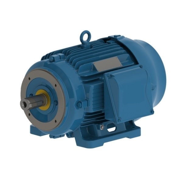 ELECTRIC MOTOR THREE PHASE 1 HP 06 143/5T 460 C/W 3 leads 60Hz B3L(E) IP56 IEEE 841 W22 NEMA PREMIUM EFFICIENCY WFF2