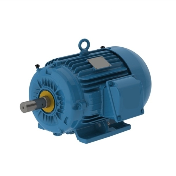 ELECTRIC MOTOR THREE PHASE 3 HP 06 213/5T 460 C/W 3 leads 60Hz B3L(E) IP56 IEEE 841 W22 NEMA PREMIUM EFFICIENCY WFF2