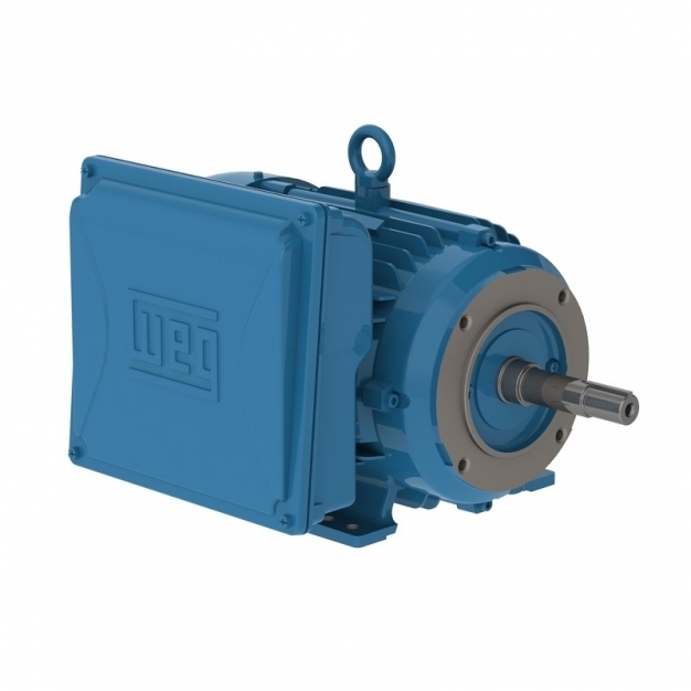ELECTRIC MOTOR SINGLE PHASE 2 HP 06 182/4JM 230 60Hz B34R(D) IP55 W22 WFF2