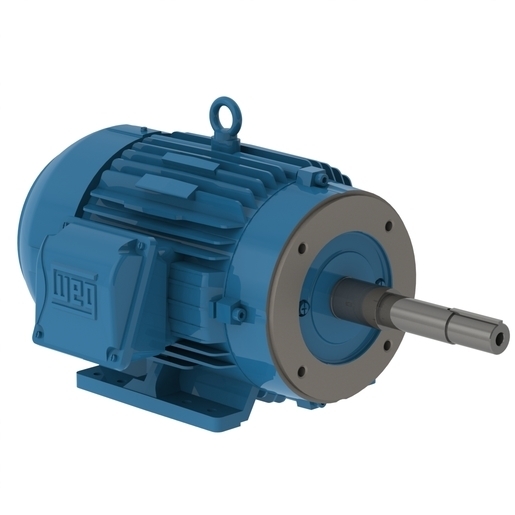 JP015502NPW22215JP
