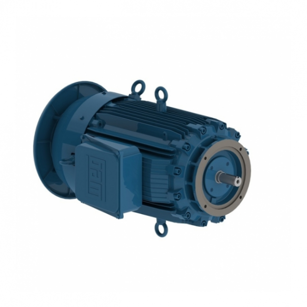 W21 In Line Extra Thrust NEMA Premium Efficiency 75 HP 2P 364/5LP 3Ph 575 V 60 Hz IC411 - TEFC - Footless