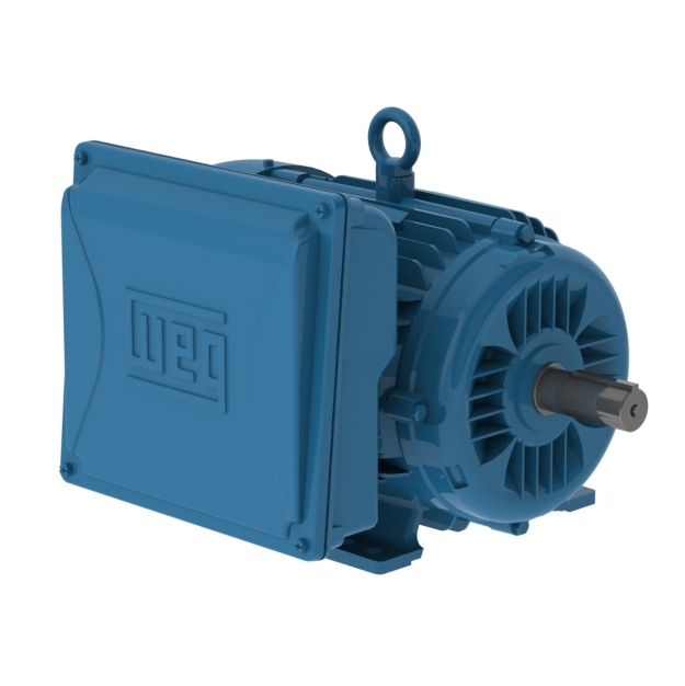 W22 7.5 HP 4P 213/5TC 1Ph 208-230/460 V 60 Hz IC411 - TEFC - Foot-mounted